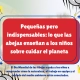 dia mundial de las abejas